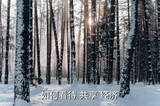 共享經濟中的政府作用,共享充電寶對經濟的作用...